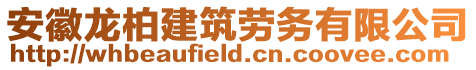 安徽龍柏建筑勞務有限公司