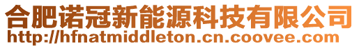 合肥諾冠新能源科技有限公司