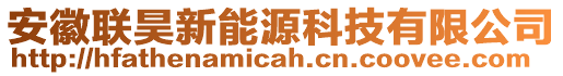 安徽聯(lián)昊新能源科技有限公司