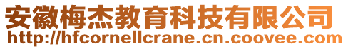 安徽梅杰教育科技有限公司