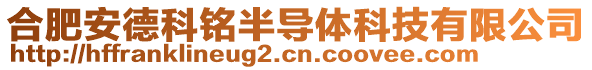 合肥安德科銘半導(dǎo)體科技有限公司