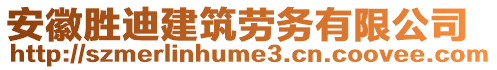 安徽勝迪建筑勞務有限公司