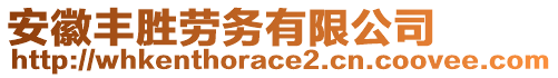 安徽豐勝勞務(wù)有限公司