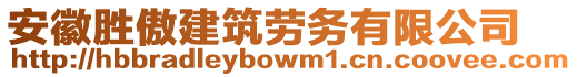 安徽勝傲建筑勞務有限公司