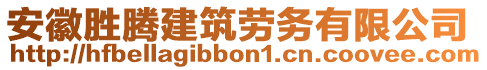 安徽勝騰建筑勞務有限公司