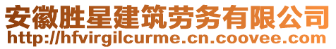 安徽勝星建筑勞務(wù)有限公司