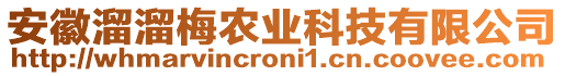 安徽溜溜梅農(nóng)業(yè)科技有限公司