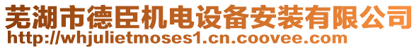 蕪湖市德臣機(jī)電設(shè)備安裝有限公司