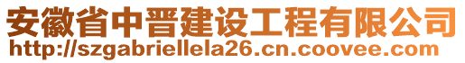 安徽省中晉建設(shè)工程有限公司