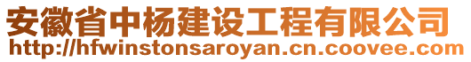 安徽省中楊建設工程有限公司