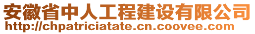 安徽省中人工程建設(shè)有限公司