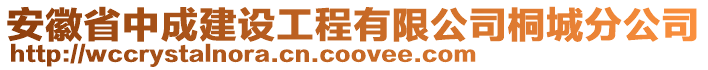 安徽省中成建設工程有限公司桐城分公司