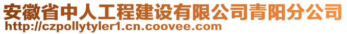 安徽省中人工程建設(shè)有限公司青陽分公司