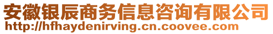 安徽銀辰商務(wù)信息咨詢有限公司