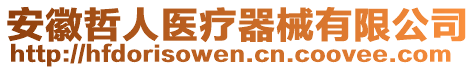 安徽哲人醫(yī)療器械有限公司