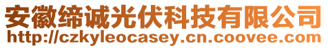 安徽締誠光伏科技有限公司