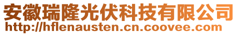 安徽瑞隆光伏科技有限公司