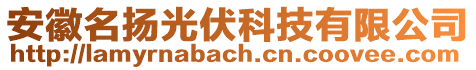 安徽名揚(yáng)光伏科技有限公司