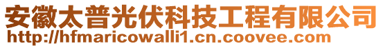 安徽太普光伏科技工程有限公司