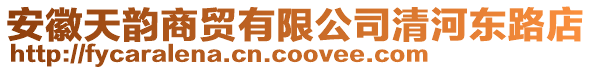 安徽天韵商贸有限公司清河东路店