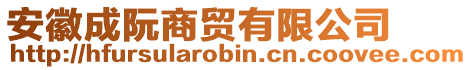 安徽成阮商貿(mào)有限公司