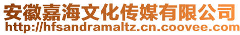 安徽嘉海文化傳媒有限公司