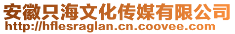 安徽只海文化傳媒有限公司