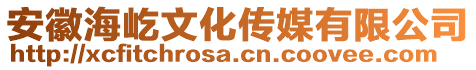 安徽海屹文化傳媒有限公司