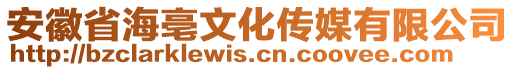 安徽省海亳文化传媒有限公司