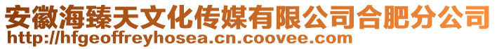 安徽海臻天文化傳媒有限公司合肥分公司