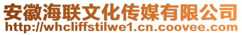 安徽海聯(lián)文化傳媒有限公司