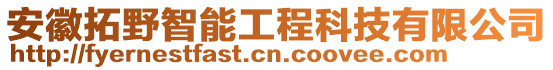 安徽拓野智能工程科技有限公司