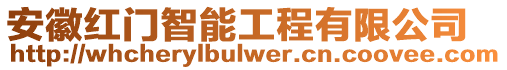 安徽紅門智能工程有限公司