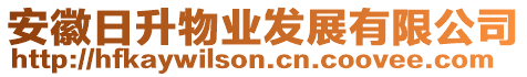 安徽日升物業(yè)發(fā)展有限公司