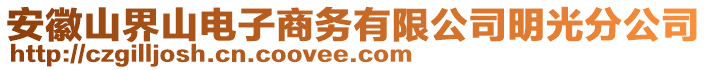 安徽山界山電子商務有限公司明光分公司