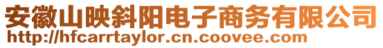 安徽山映斜陽(yáng)電子商務(wù)有限公司