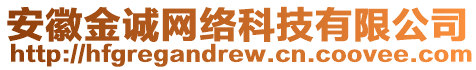 安徽金誠(chéng)網(wǎng)絡(luò)科技有限公司