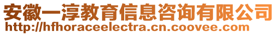 安徽一淳教育信息咨询有限公司