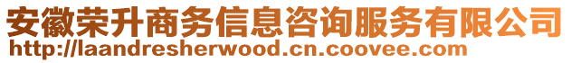 安徽榮升商務信息咨詢服務有限公司