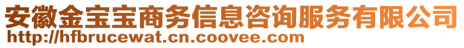 安徽金寶寶商務(wù)信息咨詢服務(wù)有限公司