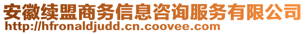 安徽續(xù)盟商務(wù)信息咨詢服務(wù)有限公司