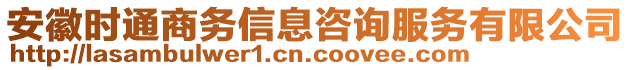 安徽時(shí)通商務(wù)信息咨詢(xún)服務(wù)有限公司