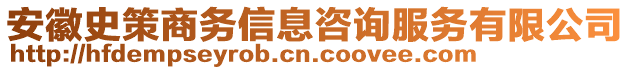 安徽史策商務(wù)信息咨詢服務(wù)有限公司