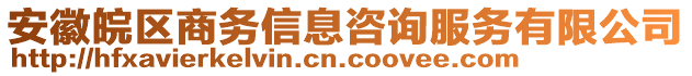 安徽皖区商务信息咨询服务有限公司