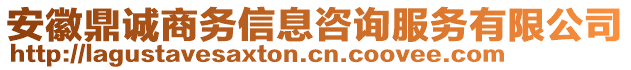 安徽鼎诚商务信息咨询服务有限公司