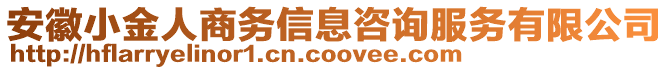 安徽小金人商務(wù)信息咨詢服務(wù)有限公司