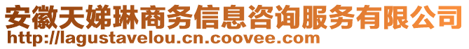 安徽天娣琳商務(wù)信息咨詢服務(wù)有限公司