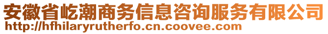 安徽省屹潮商務(wù)信息咨詢服務(wù)有限公司