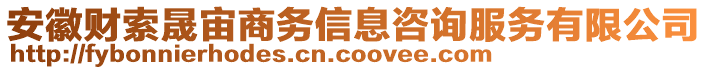 安徽财索晟宙商务信息咨询服务有限公司