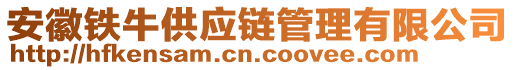 安徽鐵牛供應(yīng)鏈管理有限公司